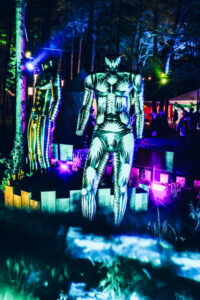 Art Installation at Elements